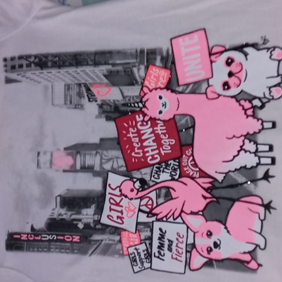 Bundle of 4, CUTE, Assorted Big Girl's, Tops, Size 10/12 LG. - Picture 6 of 16